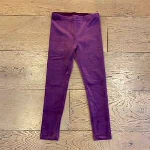 NWT -Velour Leggings in Berry - Tea Collection